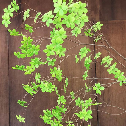 中國(guó)石油和化工勘察設(shè)計(jì)協(xié)會(huì)-中國(guó)石油和化工勘察vi設(shè)計(jì)協(xié)會(huì)