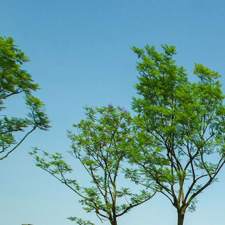 深圳品牌設計作品案例展示