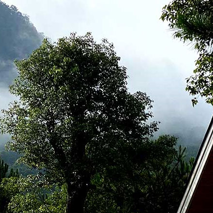 app設(shè)計(jì)軟件-appvi設(shè)計(jì)軟件